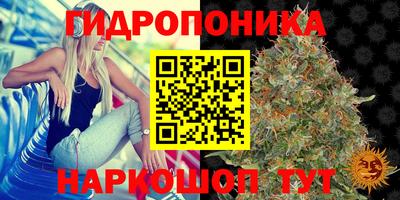 гашик Ливны