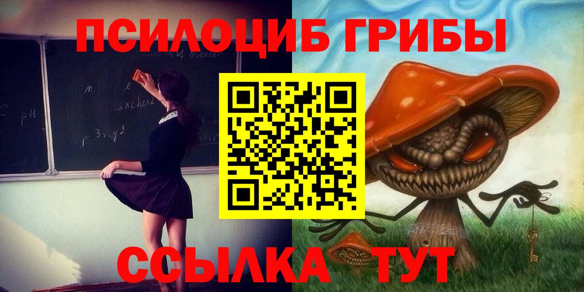 Каменск-Уральский  Галлюциногенные грибы прущие грибы  Вход с VPN 